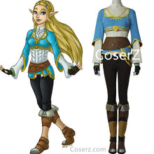The Legend of Zelda Breath of the Wild Princess Zelda Costume Cosplay Outfit